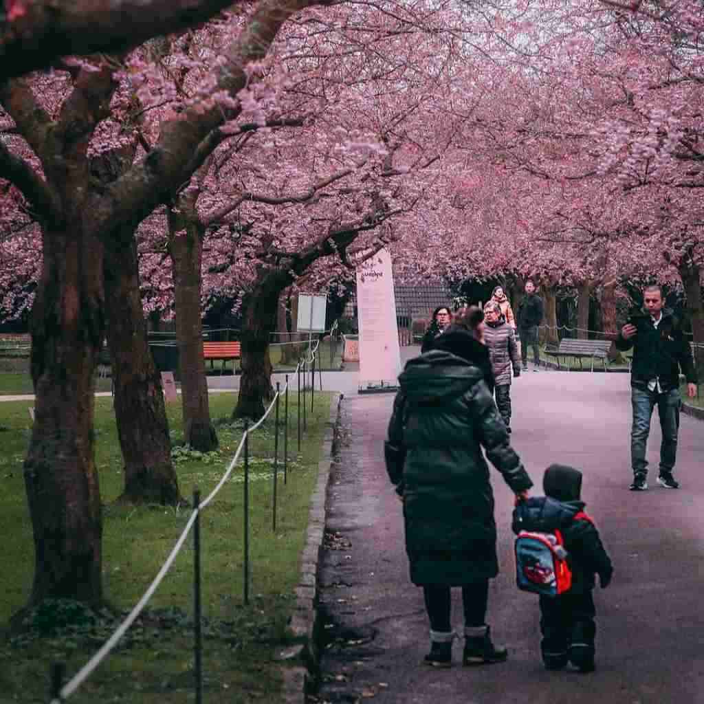 آهنگ جدید کلینت منسل Lux Aeterna